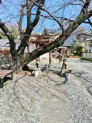 光傅寺(光伝寺)(大阪府)