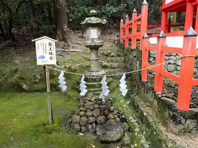 春日大社 若宮（春日若宮）(奈良県)