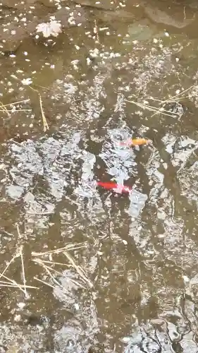 竹駒稲荷神社(北海道)