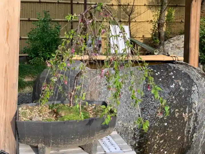 猿江神社の手水舎