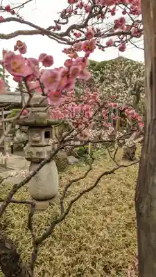 実相寺(東京都)