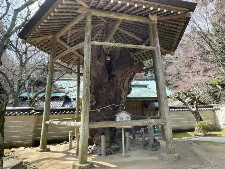 根香寺(香川県)