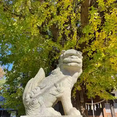 印内八坂神社の狛犬