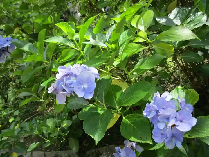 長谷寺(奈良県)