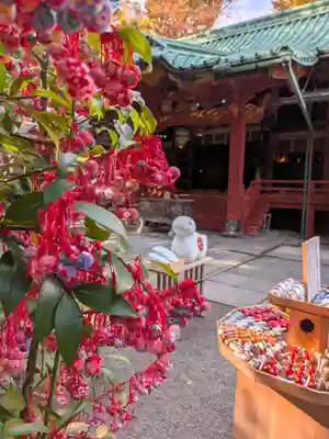 赤坂氷川神社(東京都)