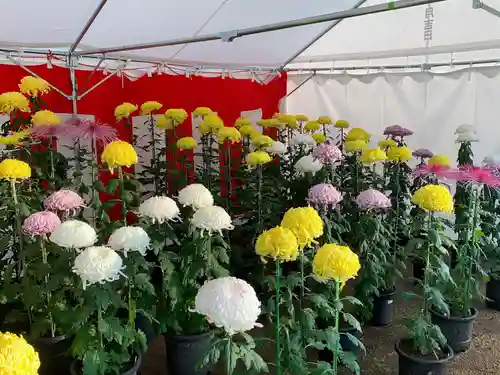 高靇神社の自然