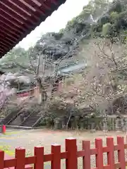 静岡浅間神社の建物その他