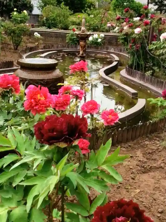 禅定院(東京都)