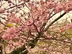 大聖寺（土浦大師不動尊）の自然