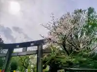 上野東照宮の{uncategorized: "未分類", other: "その他", undefined: "問題あり", building: "その他建物", grave: "お墓", sacred_gate: "鳥居", guardian: "狛犬", statue: "像", buddha: "仏像", history: "歴史", nature: "自然", garden: "庭園", animal: "動物", pagoda: "塔", temizu: "手水舎", mountain_gate: "山門・神門", sanctuary: "本殿・本堂", subordinate: "末社・摂社", art: "芸術", scenery: "景色", jizo: "地蔵", ema: "絵馬", goshuin: "御朱印", omikuji: "おみくじ", items: "授与品その他", amulet: "お守り", goshuincho: "御朱印帳", eats: "食事", festival: "お祭り", votive_dance: "神楽", shichigosan: "七五三参", wedding: "結婚式", experience: "体験その他", initially: "初詣", around: "周辺", anti_infection: "感染症対策"}