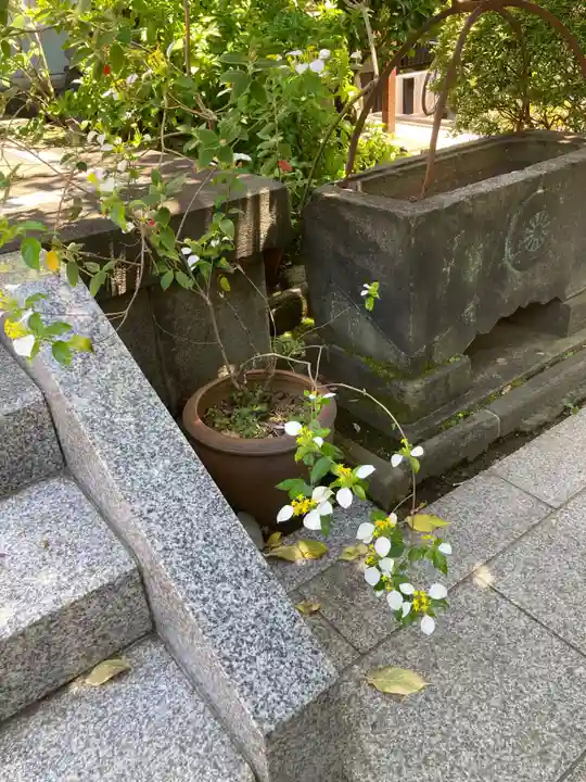 長専院不動寺(出世不動尊)(東京都)