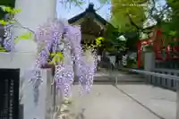 江東天祖神社(東京都)