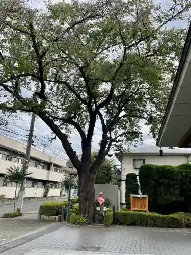 泉龍寺別院(東京都)