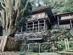 日龍峯寺(高澤観音)(美濃清水)(岐阜県)