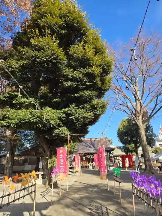 相模原氷川神社(神奈川県)