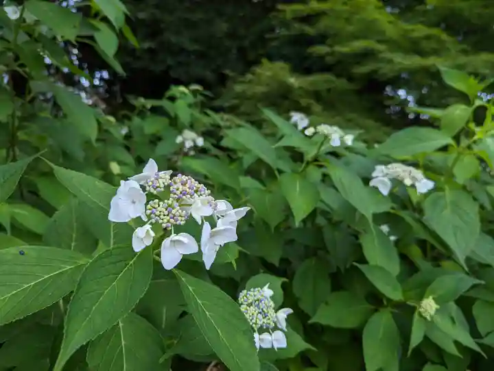 智積院(京都府)