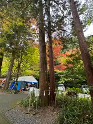 大矢田神社(岐阜県)