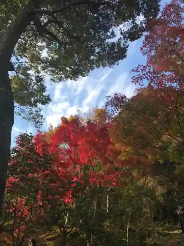 天龍寺の自然