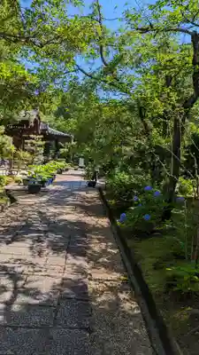 法金剛院(京都府)