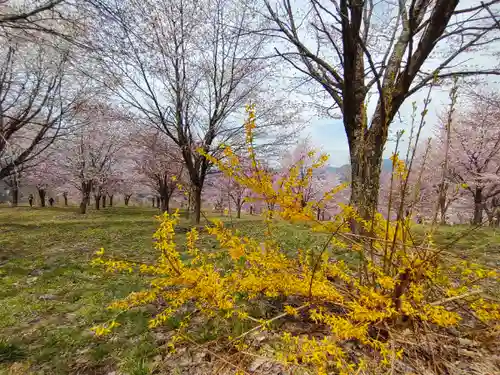 土津神社｜こどもと出世の神さま(福島県)