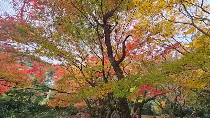 法輪寺(京都府)