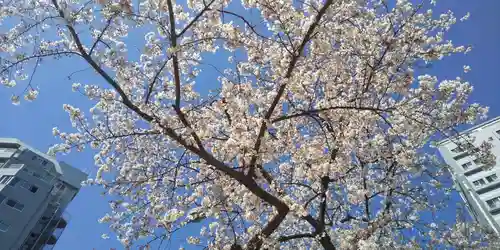 吉原弁財天本宮（吉原神社奥宮）の自然