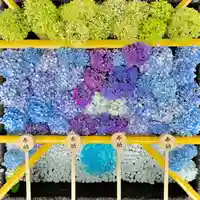 土津神社|こどもと出世の神さま(福島県)