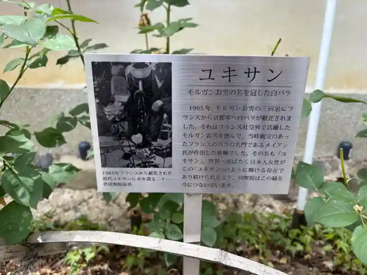 五大堂同聚院の{uncategorized: "未分類", other: "その他", undefined: "問題あり", building: "その他建物", grave: "お墓", sacred_gate: "鳥居", guardian: "狛犬", statue: "像", buddha: "仏像", history: "歴史", nature: "自然", garden: "庭園", animal: "動物", pagoda: "塔", temizu: "手水舎", mountain_gate: "山門・神門", sanctuary: "本殿・本堂", subordinate: "末社・摂社", art: "芸術", scenery: "景色", jizo: "地蔵", ema: "絵馬", goshuin: "御朱印", omikuji: "おみくじ", items: "授与品その他", amulet: "お守り", goshuincho: "御朱印帳", eats: "食事", festival: "お祭り", votive_dance: "神楽", shichigosan: "七五三参", wedding: "結婚式", experience: "体験その他", initially: "初詣", around: "周辺", anti_infection: "感染症対策"}