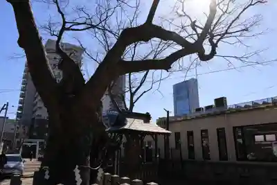 阿邪訶根神社の自然
