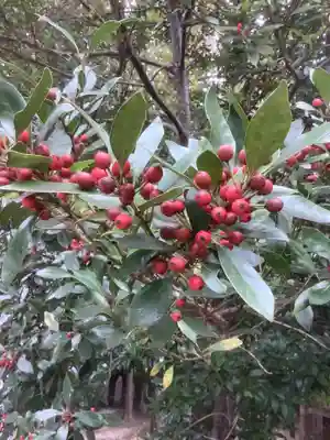 田縣神社(愛知県)