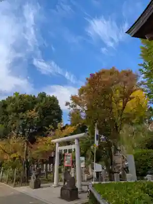 鳩森八幡神社(東京都)