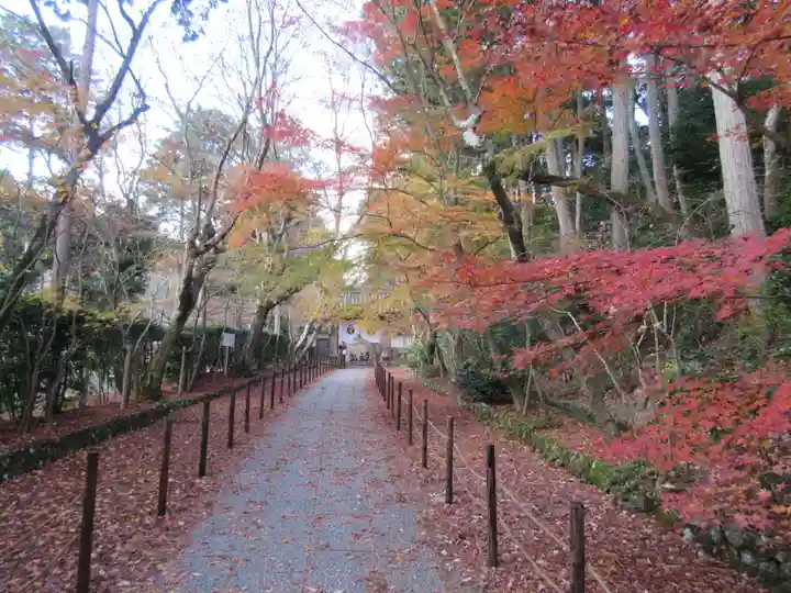 光明寺(粟生光明寺)のその他建物