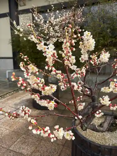 岩津天満宮(愛知県)
