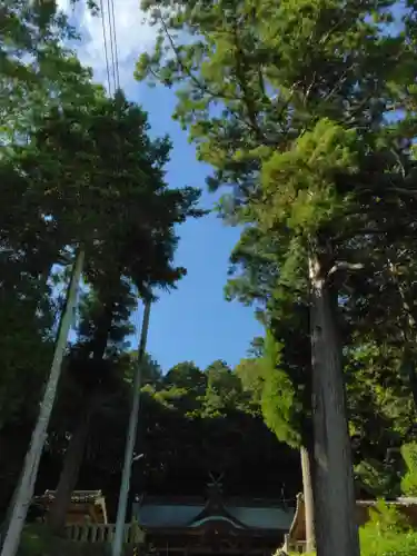 山王神社の建物その他