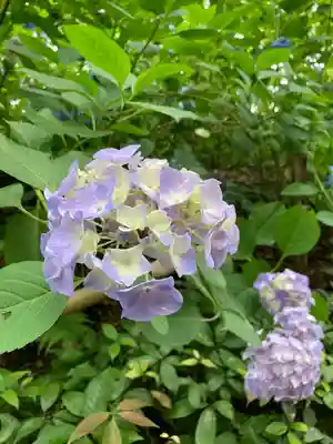 頼光寺(兵庫県)