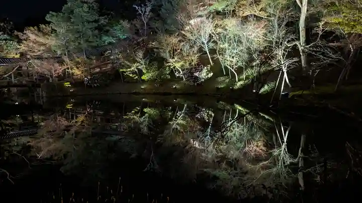 高台寺(高台寿聖禅寺・高臺寺)(京都府)