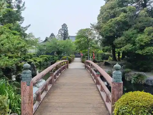 圓鏡寺の庭園
