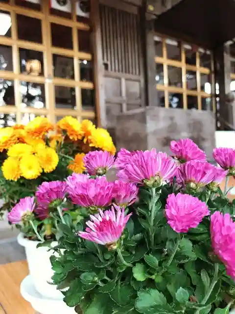 高司神社〜むすびの神の鎮まる社〜の自然