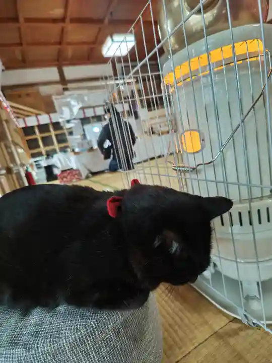 高司神社〜むすびの神の鎮まる社〜(福島県)