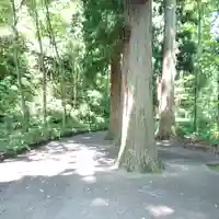 十和田神社の自然