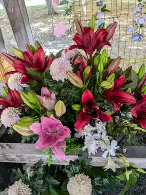 彌彦神社　(伊夜日子神社)の手水舎