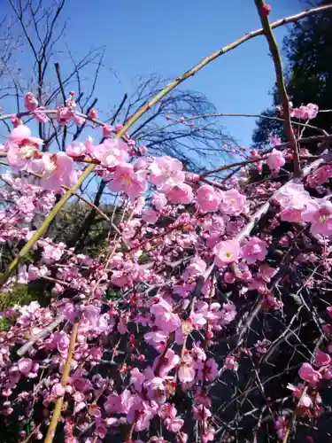 進雄神社(群馬県)