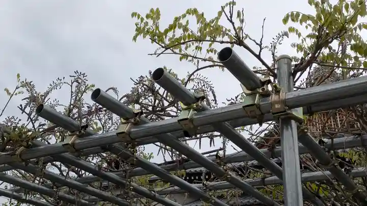 大松禅寺(京都府)