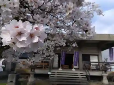 妙経寺(福井県)