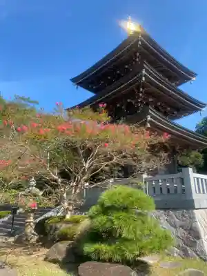 村松虚空蔵尊（村松山虚空蔵堂）(茨城県)