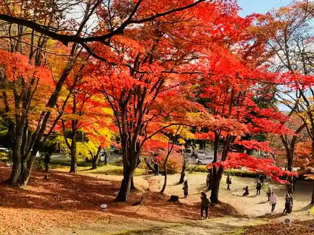 土津神社|こどもと出世の神さまの景色