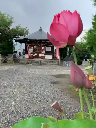 龍興寺（浮見観音）の庭園