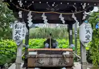 寛永寺不忍池弁天堂(東京都)