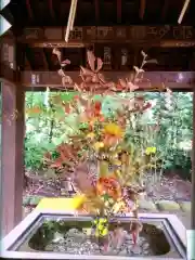 赤坂氷川神社(東京都)