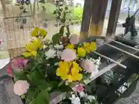 彌彦神社 (伊夜日子神社)の手水舎